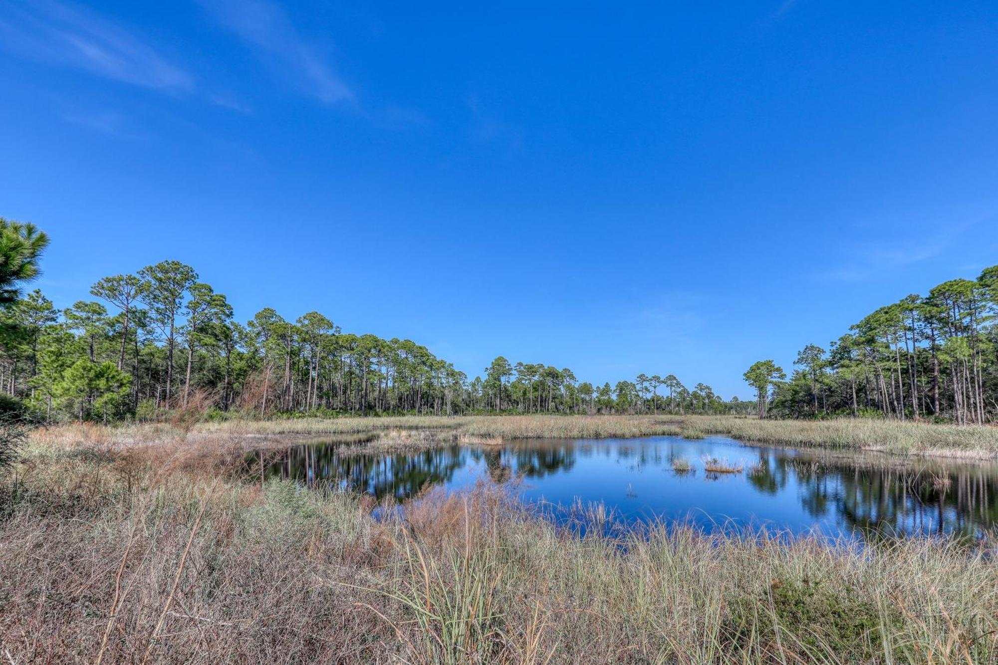 Village Of South Walton B247 Inlet Beach Bagian luar foto