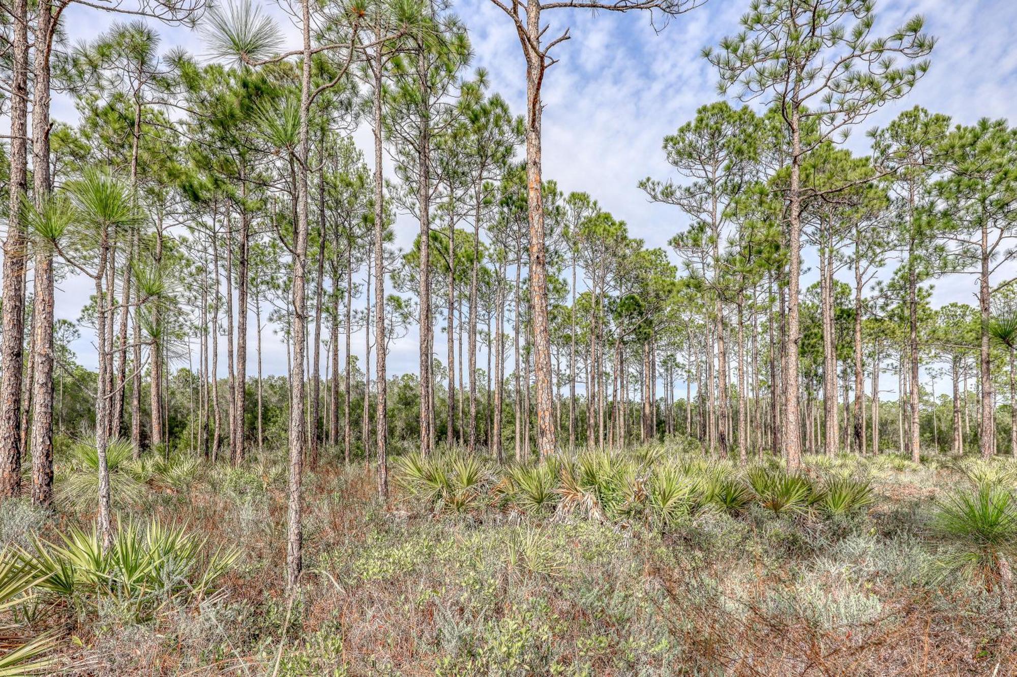 Village Of South Walton B247 Inlet Beach Bagian luar foto